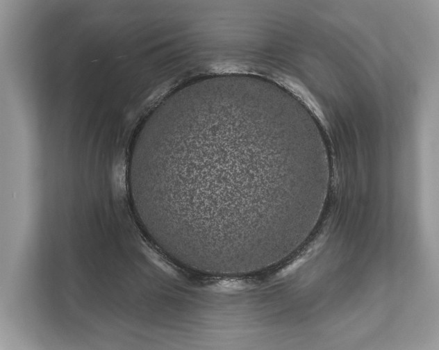 X0000111870441200907301120