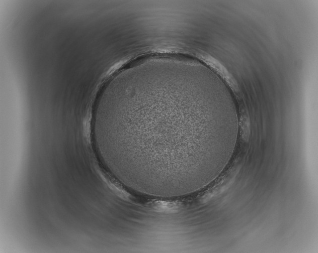 X0000111870442200907301120