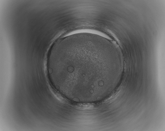 X0000111870443200907301120