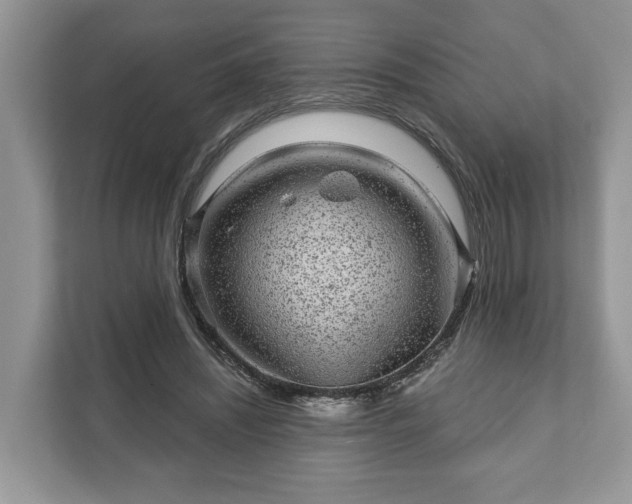 X0000111870444200907301120