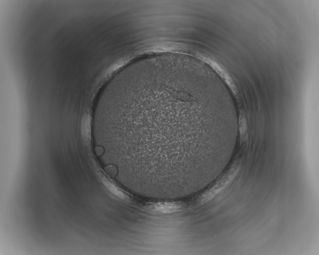 X0000111870445200907301120