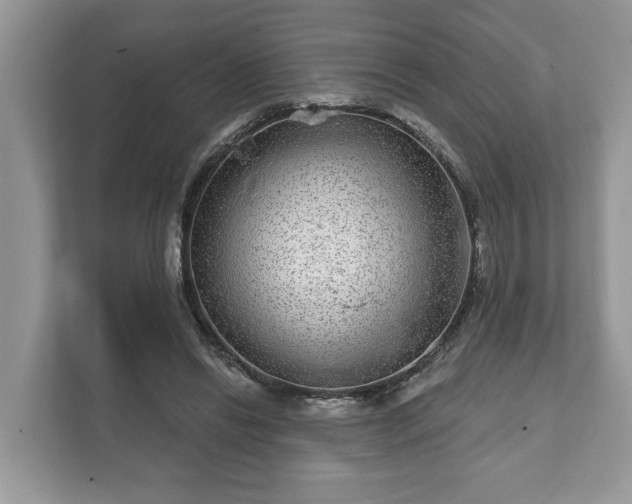 X0000111870446200907301120