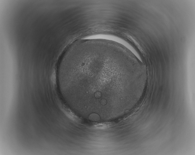 X0000111870447200907301120