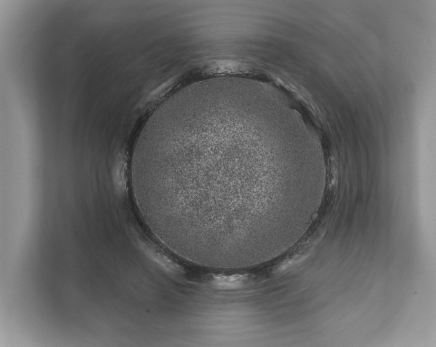 X0000111870450200907301120