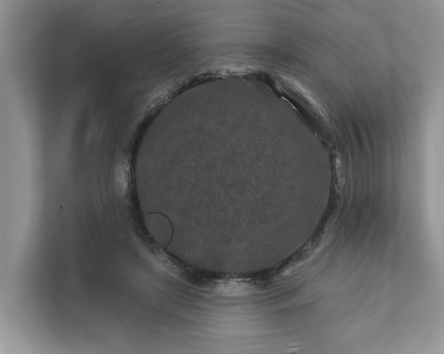 X0000111870451200907301120