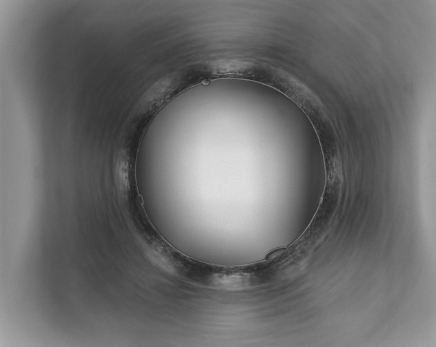 X0000111870452200907301120