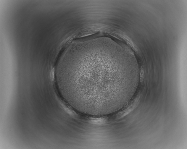 X0000111870454200907301120