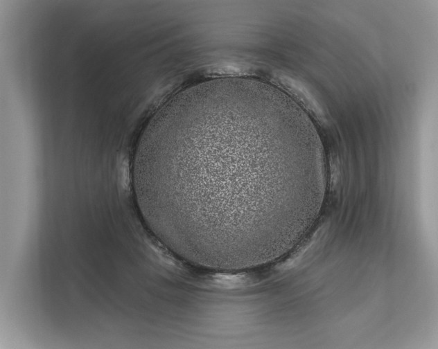 X0000111870457200907301120