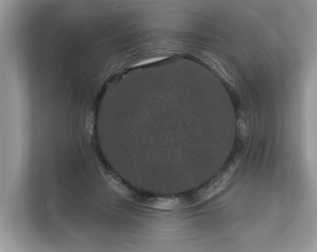 X0000111870458200907301120