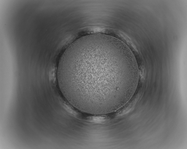 X0000111870462200907301120