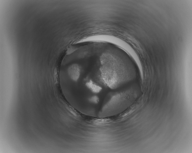 X0000111870465200907301120