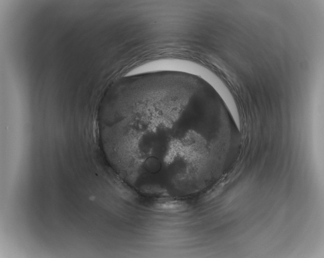 X0000111870467200907301120