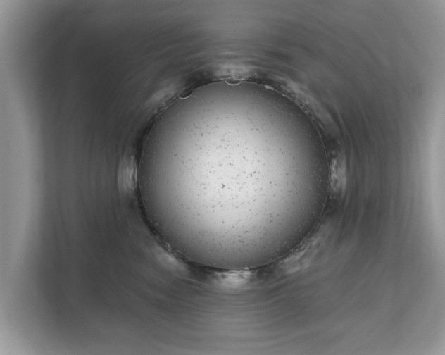 X0000111870474200907301120