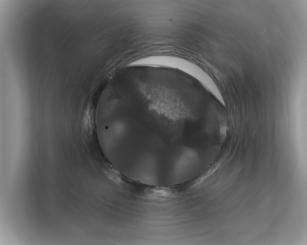 X0000111870475200907301120