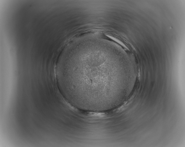 X0000111870476200907301120