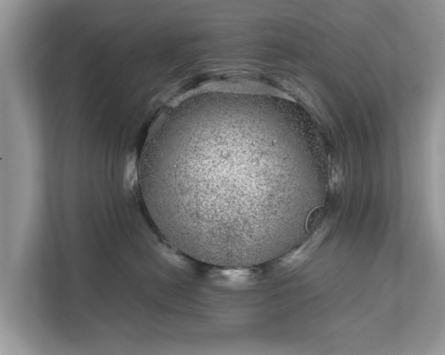 X0000111870478200907301120