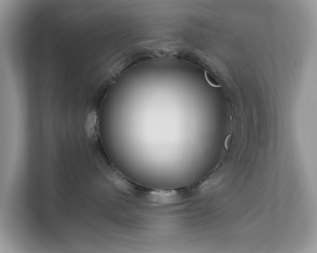 X0000111870480200907301120