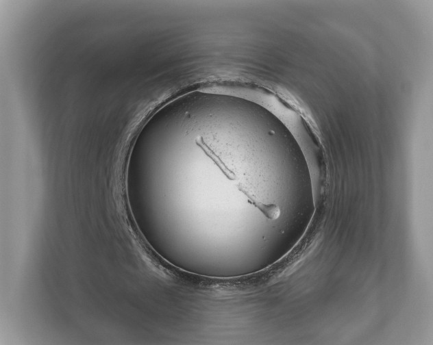 X0000111870481200907301119