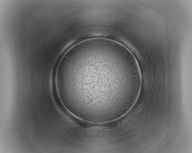 X0000111870482200907301119