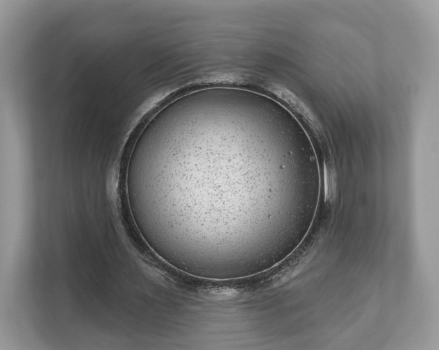 X0000111870483200907301119