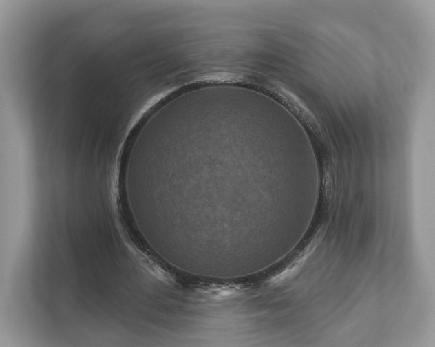 X0000111870484200907301119