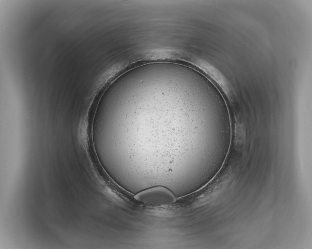 X0000111870485200907301119