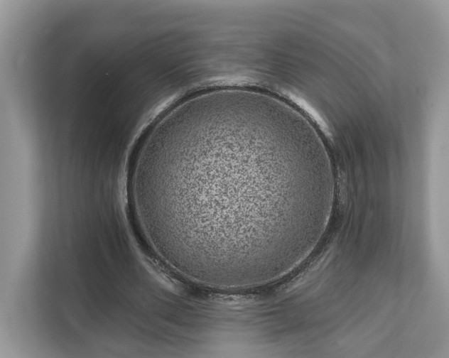 X0000111870486200907301119