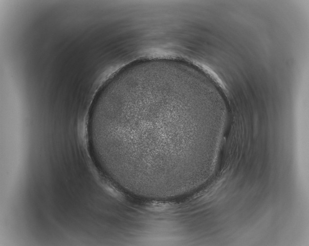 X0000111870487200907301119