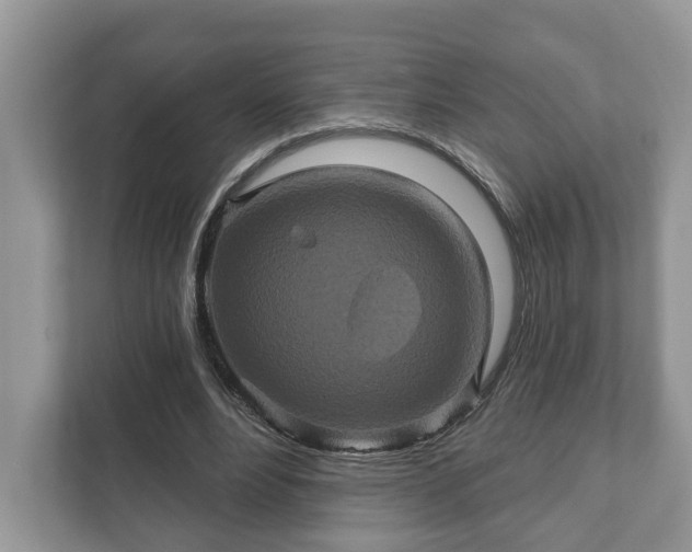 X0000111870488200907301119