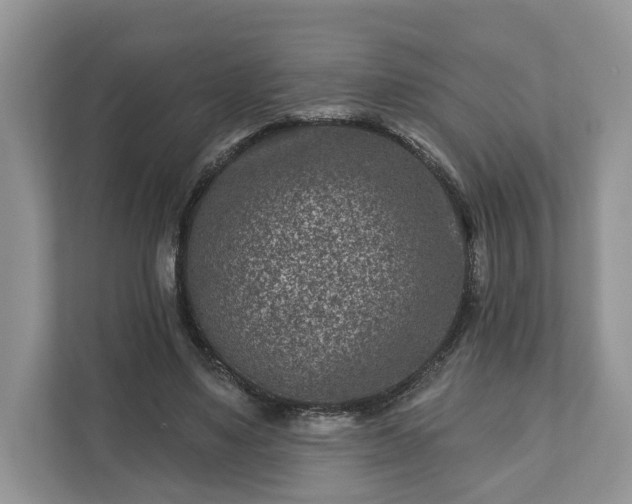 X0000111870491200907301119