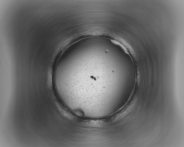 X0000111870493200907301119