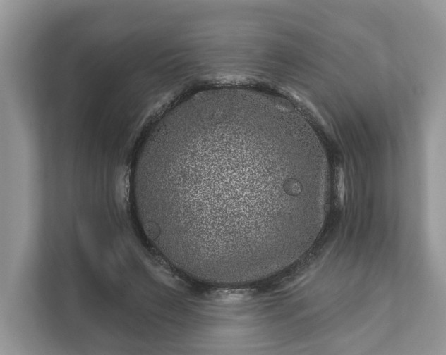 X0000111870495200907301119