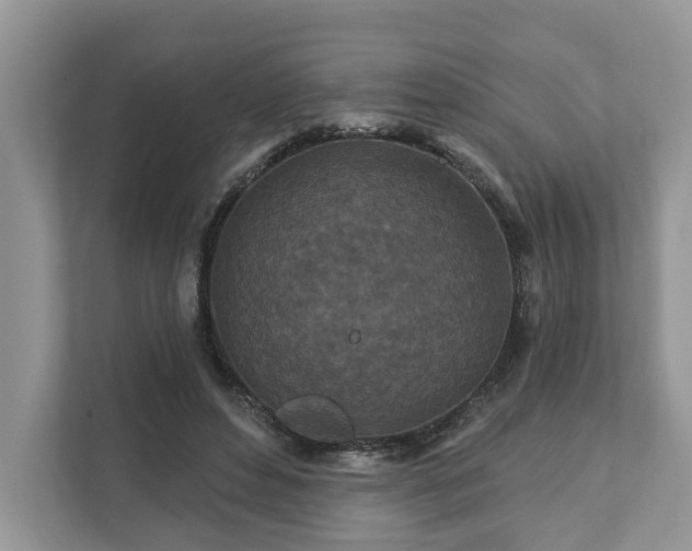 X0000111870496200907301119