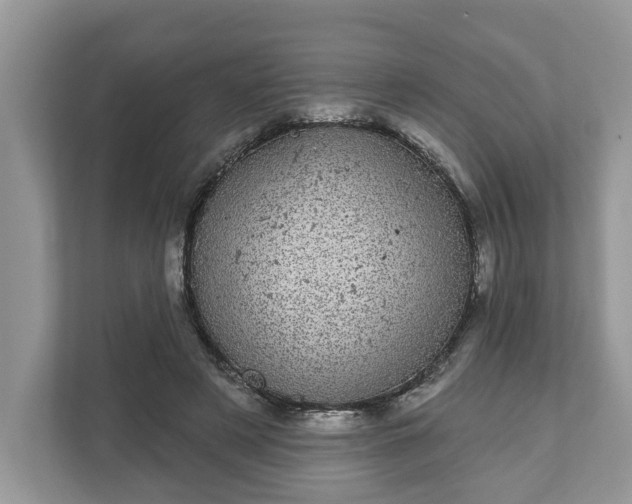 X0000111870497200907301119