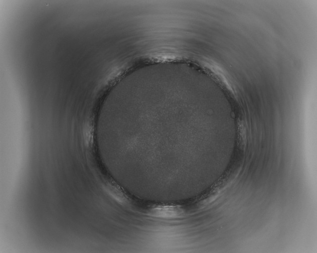 X0000111870499200907301119