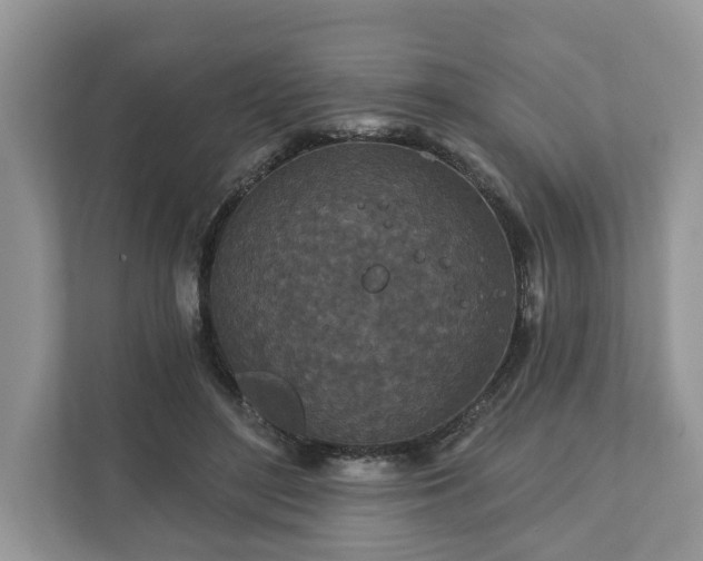 X0000111870500200907301119