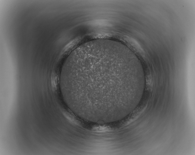 X0000111870503200907301119