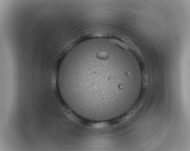 X0000111870505200907301119