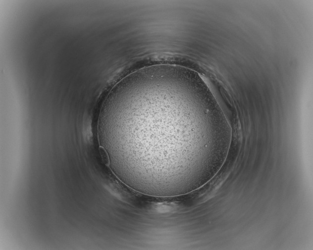 X0000111870508200907301119