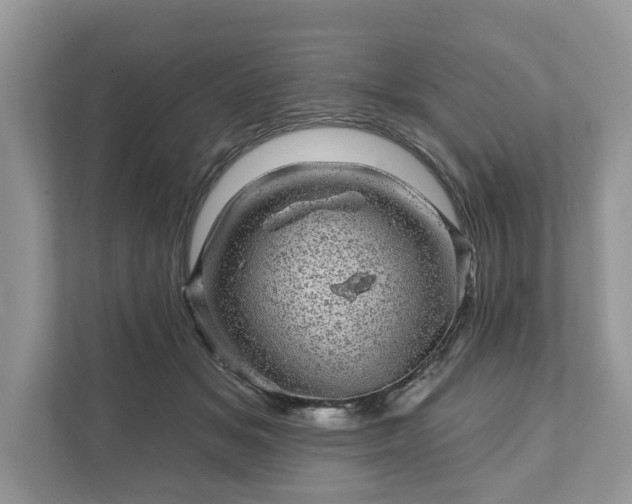 X0000111870509200907301119