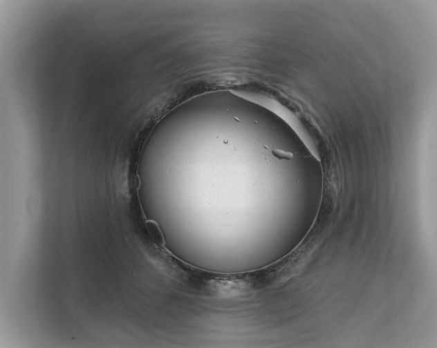 X0000111870512200907301119