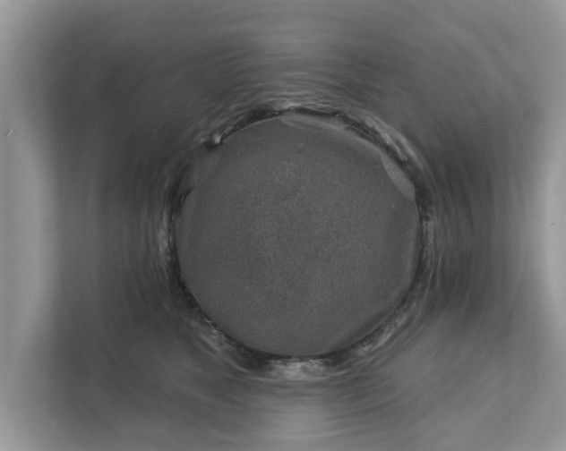 X0000111870517200907301119