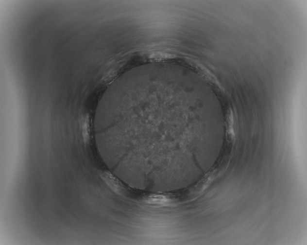 X0000111870519200907301119