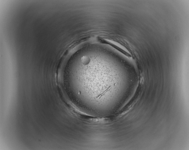 X0000111870524200907301119