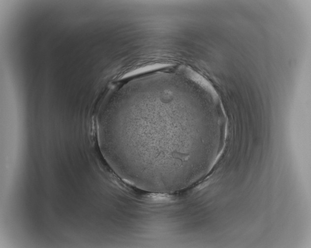 X0000111870528200907301119