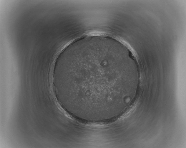 X0000111870529200907301118