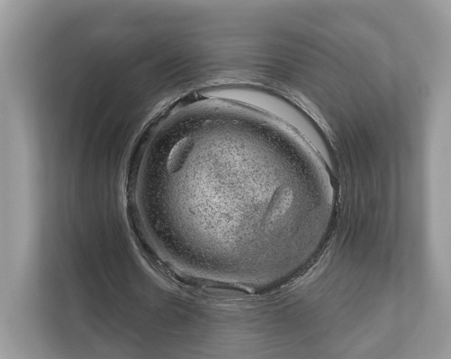 X0000111870530200907301118