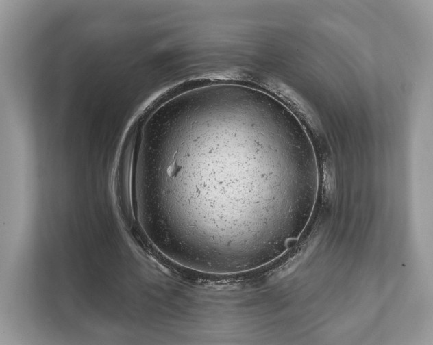 X0000111870532200907301118