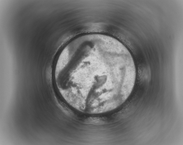 X0000111870534200907301118