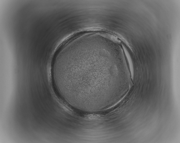 X0000111870535200907301118